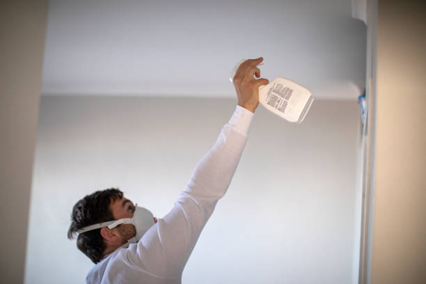 Best Attic Mold Remediation in East Dundee, IL