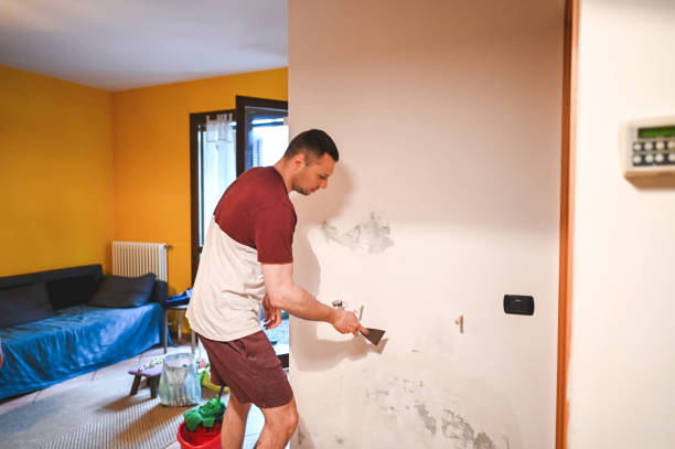 Best Preventive Mold Services in East Dundee, IL